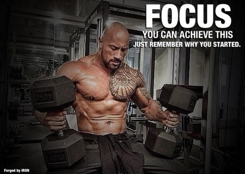 「fitness focus」的圖片搜尋結果
